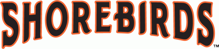 Delmarva Shorebirds 2010-Pres Wordmark Logo decal supplier